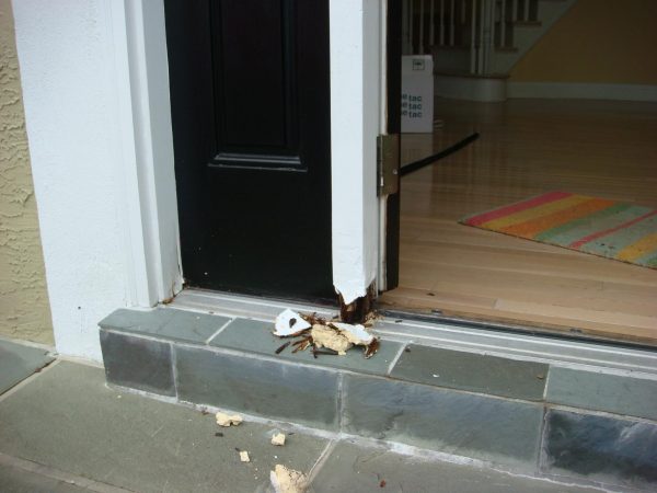 exterior-door Residential Exterior Entry Doors